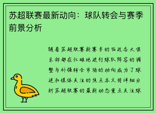 苏超联赛最新动向：球队转会与赛季前景分析