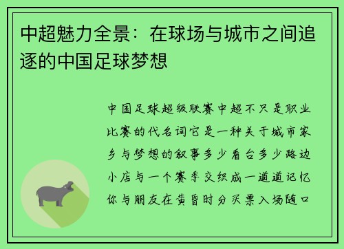 中超魅力全景：在球场与城市之间追逐的中国足球梦想