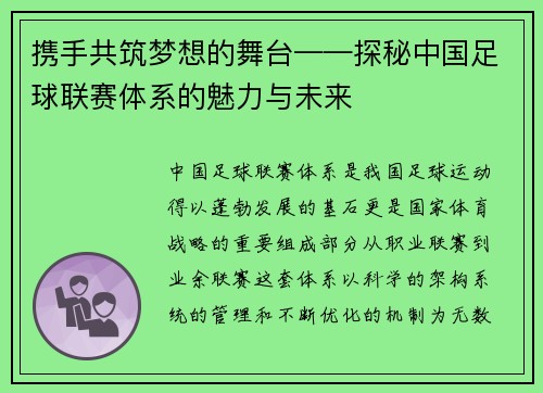 携手共筑梦想的舞台——探秘中国足球联赛体系的魅力与未来